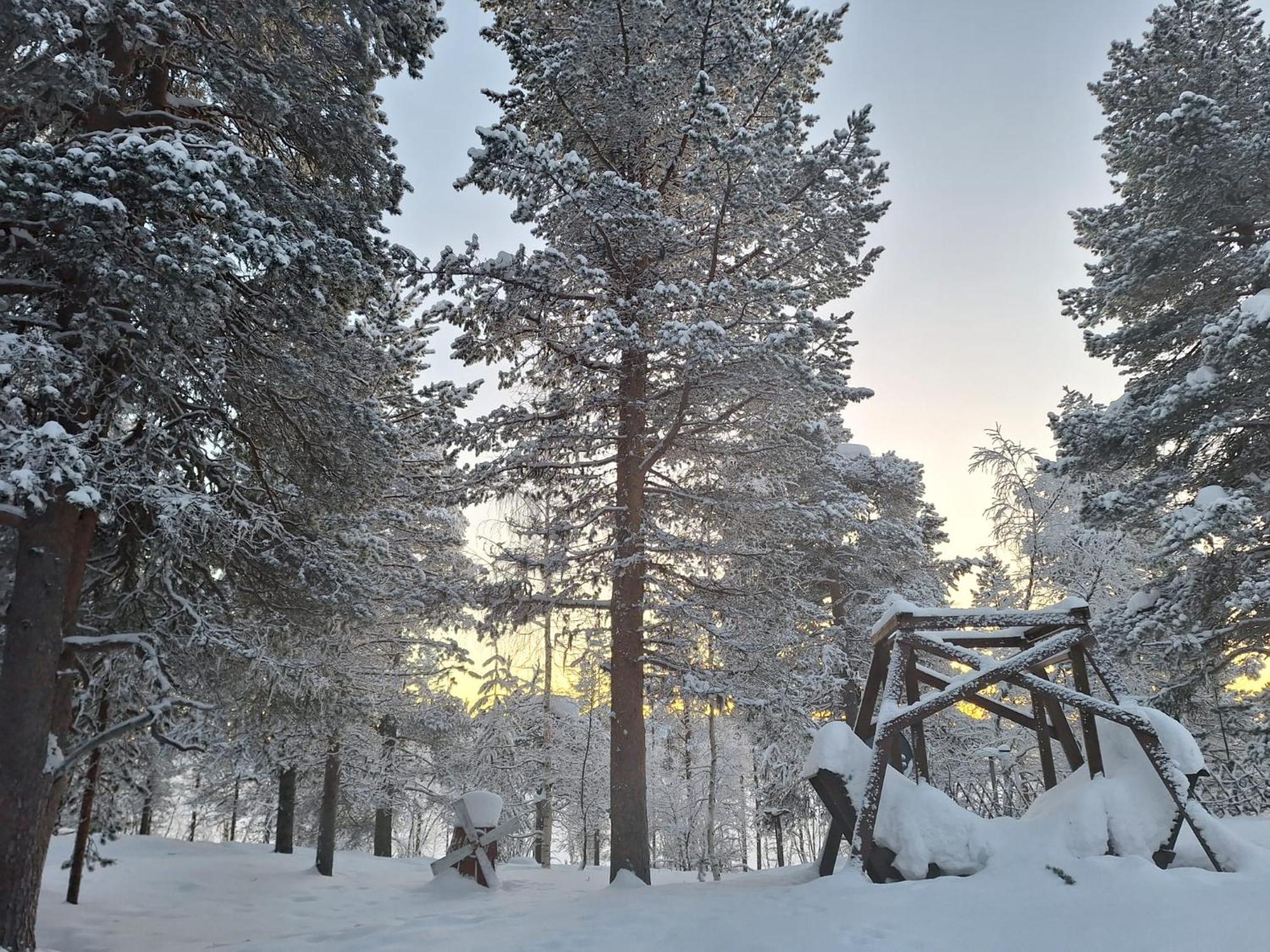 Samanitieva Chalet
